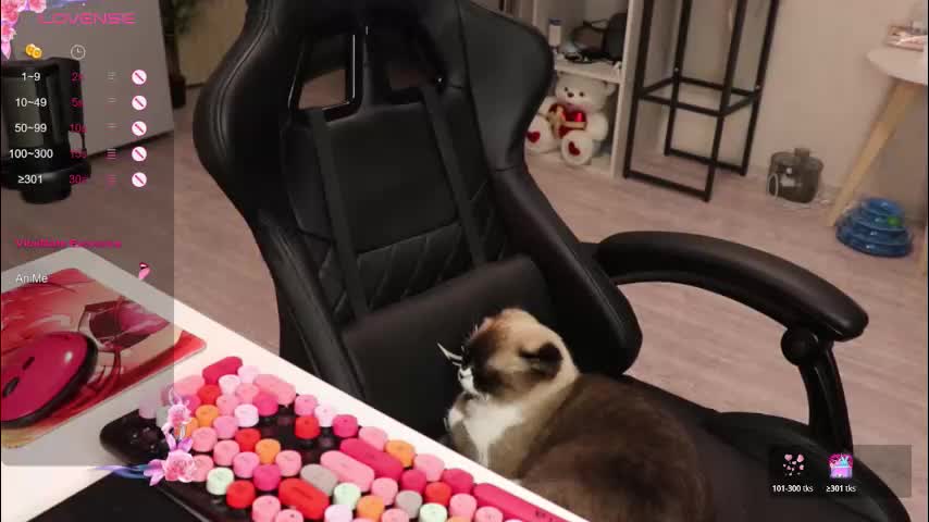 _viv1an_ Live Sex December 17, 2025