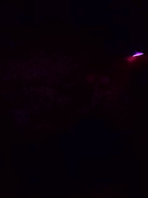 XsuVVa Live Sex November 5, 2025