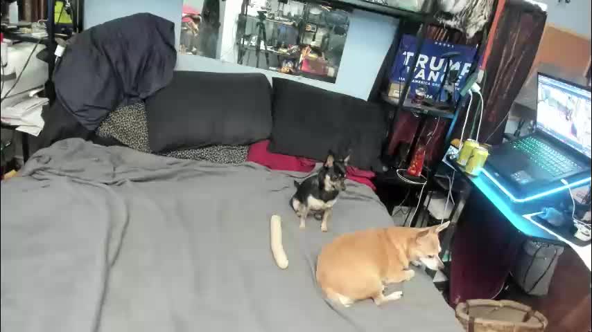 pink_black Live Sex December 18, 2025