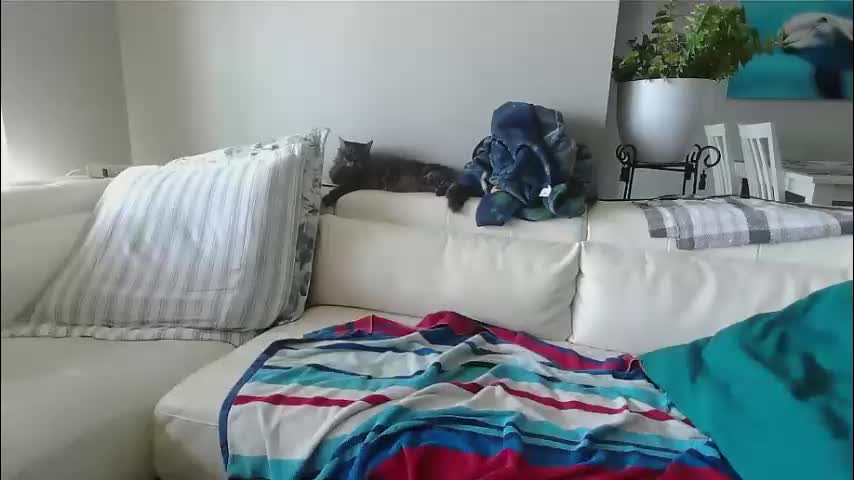 smallpenisbigtongue Live Sex December 17, 2025