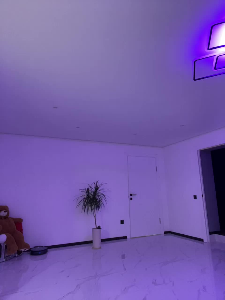 Potifays Live Sex December 14, 2025