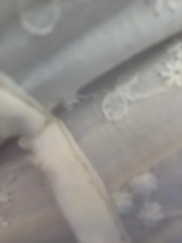 AndreaMood Live Sex December 14, 2025