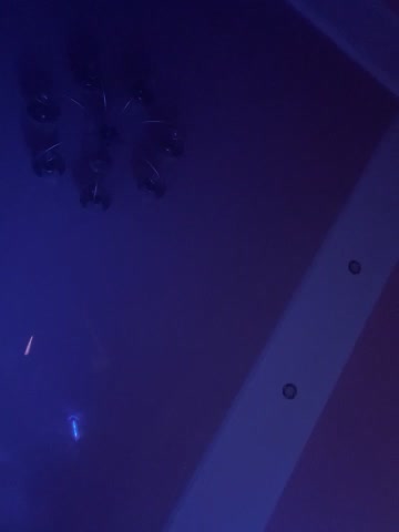 Flossy_Vettie Live Sex December 15, 2025