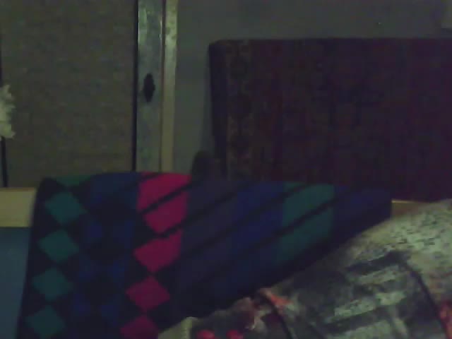 Success100 Live Sex December 13, 2025