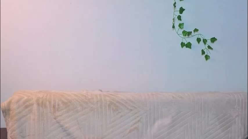 moirawenzinger Live Sex November 6, 2025