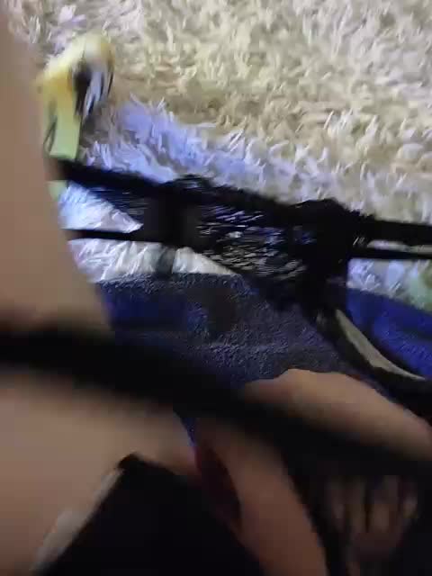 Piff_Pawlady Live Sex November 5, 2025