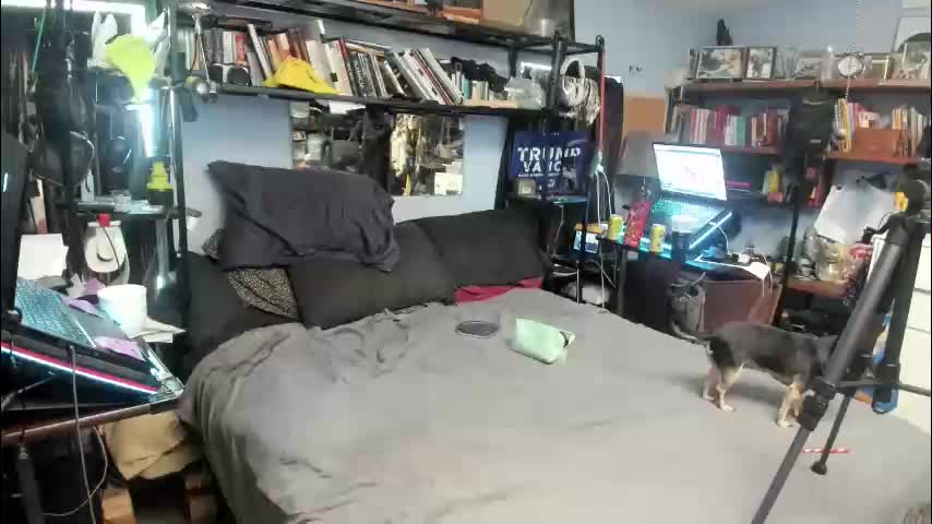 pink_black Live Sex December 18, 2025