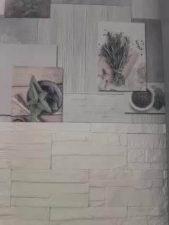 Anesteishen Live Sex December 17, 2025