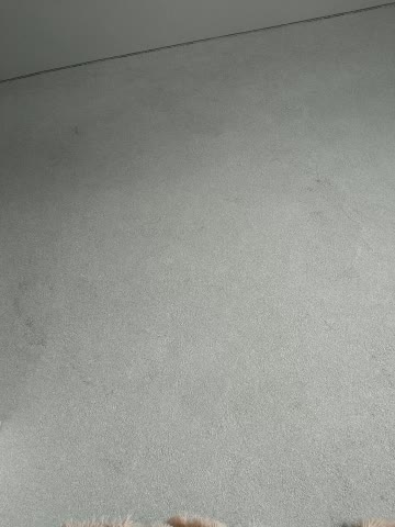 Frost_foxy Live Sex 2025.11.05