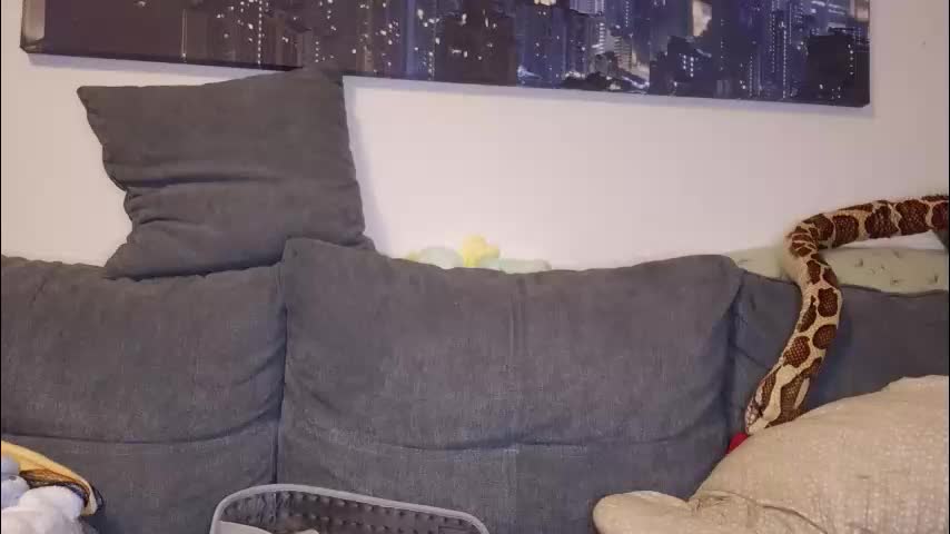 julia_official Live Sex December 15, 2025