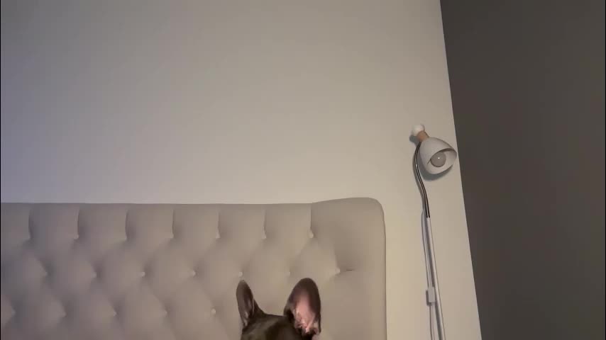 js_girls Live Sex November 6, 2025