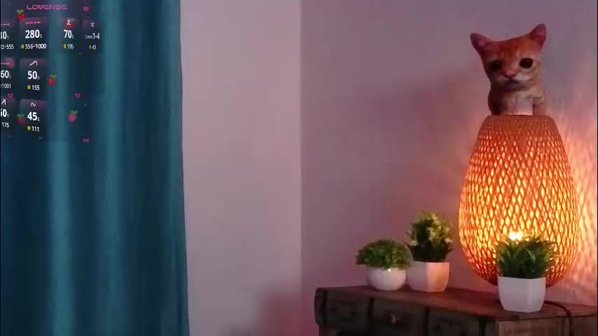 orvacurington Live Sex December 17, 2025