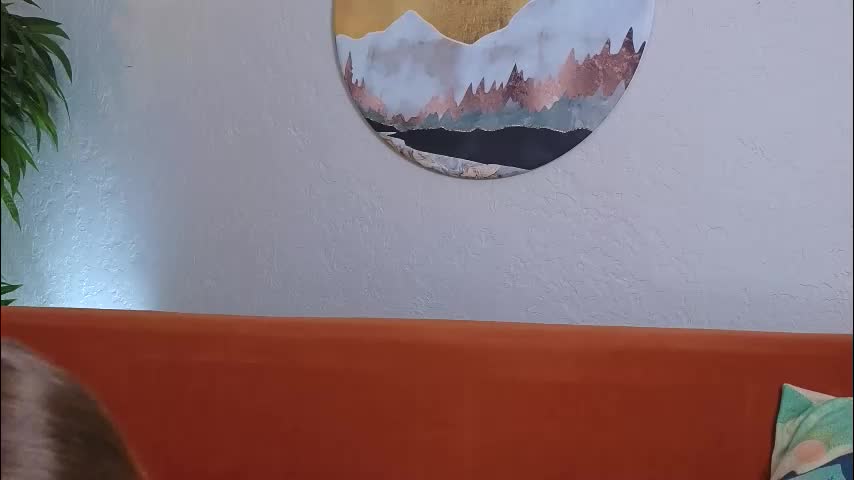 alicat_ Live Sex December 13, 2025