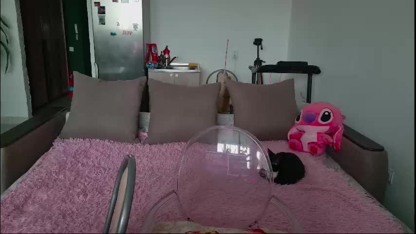 vasilisa_lik Live Sex November 6, 2025