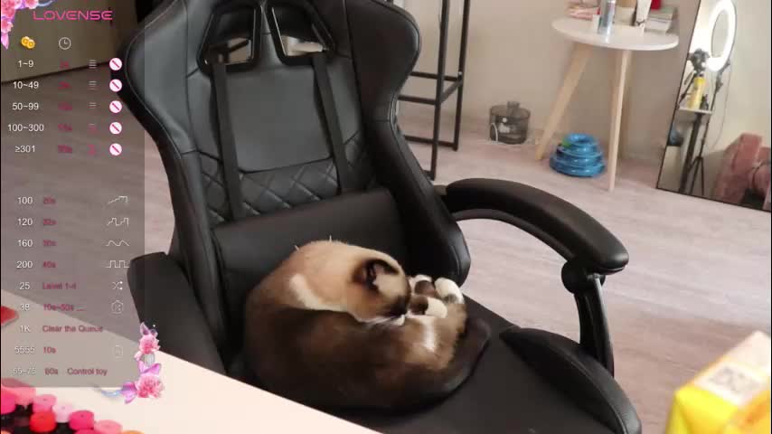 _viv1an_ Live Sex December 17, 2025