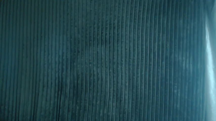 1BECHA1 Live Sex December 14, 2025