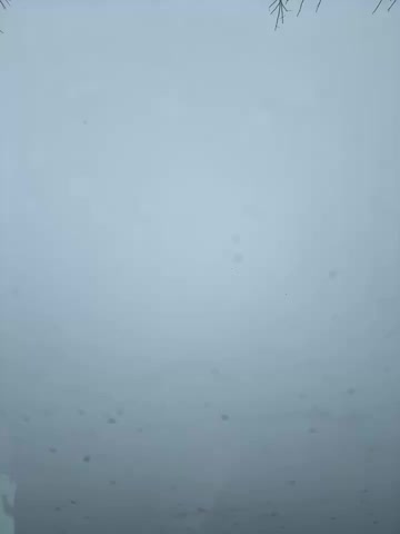 LikaCat Live Sex December 13, 2025