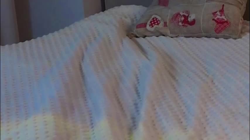 jolyndeb Live Sex November 6, 2025
