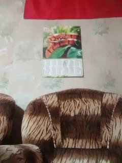 Calibriya Live Sex December 15, 2025