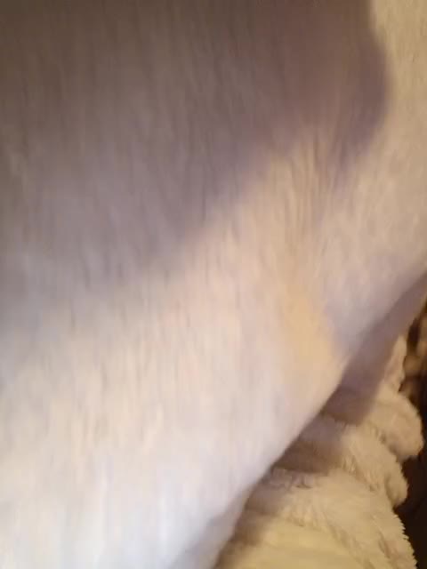 LikaBest Live Sex December 13, 2025