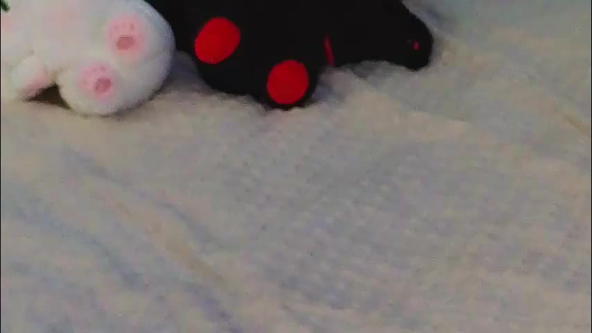 jolyndeb Live Sex November 7, 2025