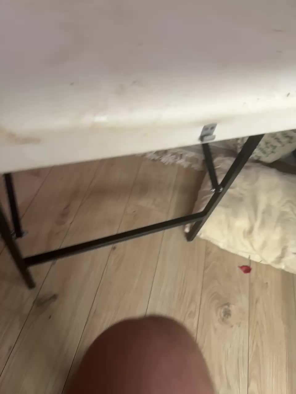 PornoRabbits Live Sex November 8, 2025