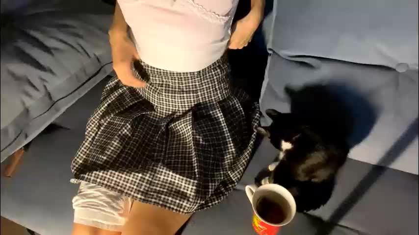 heytomato Live Sex December 14, 2025