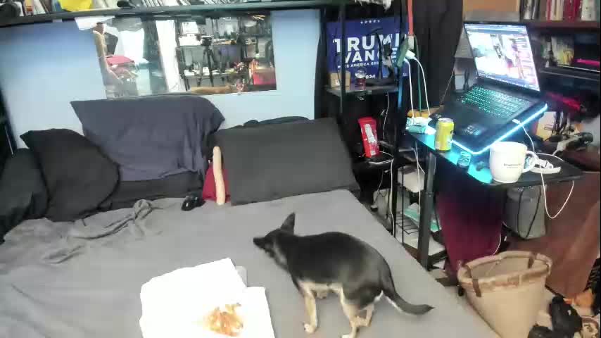 pink_black Live Sex December 17, 2025