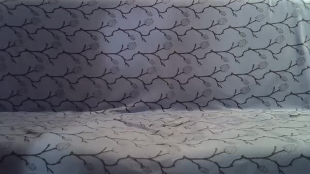 VikiPopens Live Sex December 13, 2025