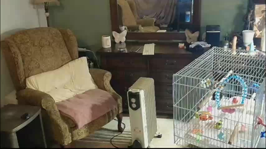 hidden_gold_milf Live Sex November 8, 2025