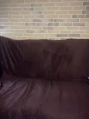 Panther_0888 Live Sex December 13, 2025