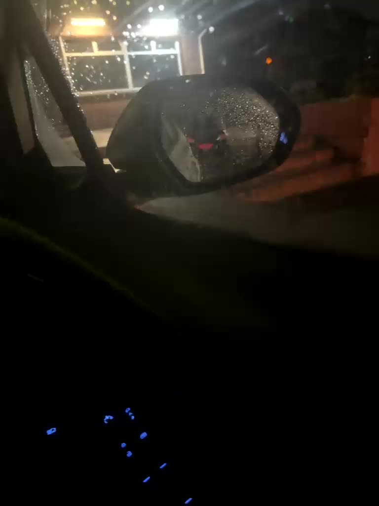 Friends-51 Live Sex December 18, 2025