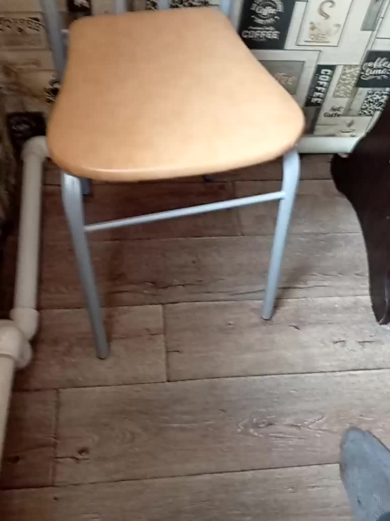 Yna-and-Yn Live Sex December 13, 2025