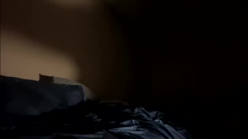 24fun21 Live Sex 2025.11.08