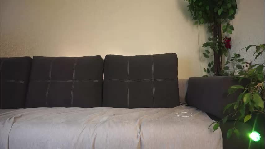 forestproject Live Sex December 17, 2025