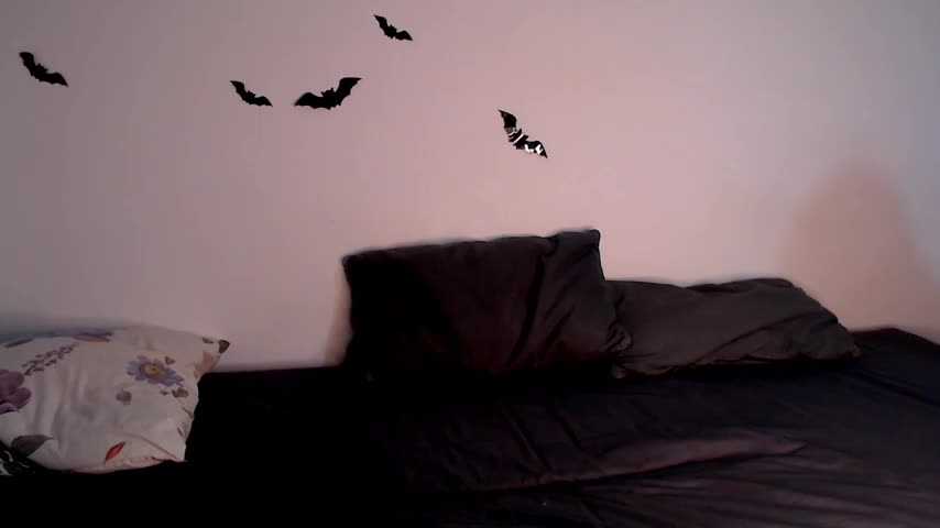 litle_owl Live Sex December 13, 2025