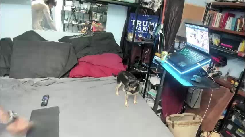 pink_black Live Sex December 17, 2025