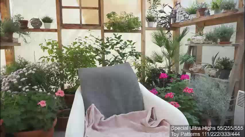 yournaughtypixie Live Sex December 17, 2025