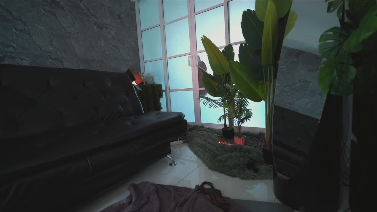 delpogorlo Live Sex 2025.11.08