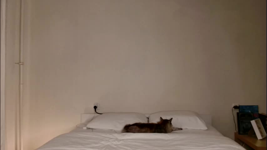 milky__way_ Live Sex December 13, 2025