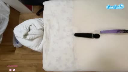 SunriseGuys Live Sex November 9, 2025