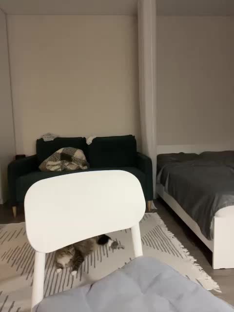 v_-_-_v Live Sex 2025.11.09