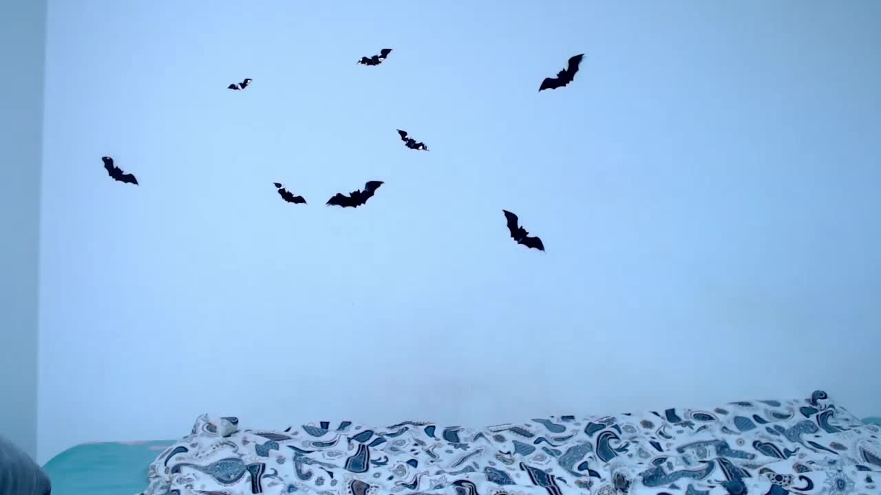 littleowlx Live Sex December 13, 2025