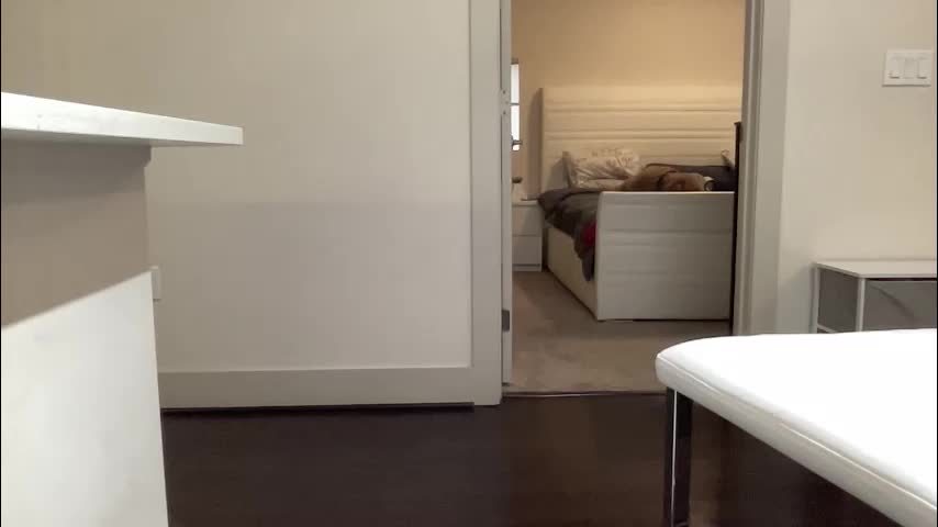 stassiethatsororitygirl Live Sex December 12, 2025