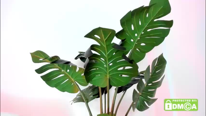 ashllovee_ Live Sex December 14, 2025