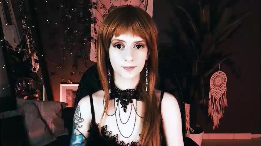 noah_elmer Live Sex December 14, 2025