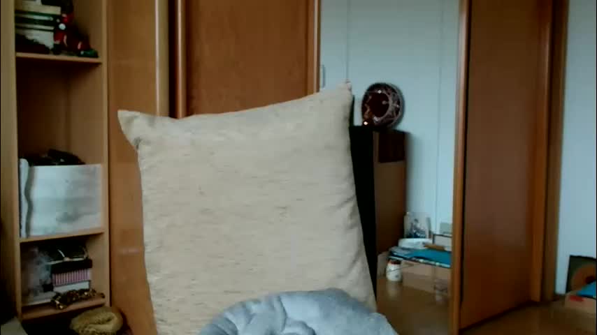 bebacksooon Live Sex December 13, 2025