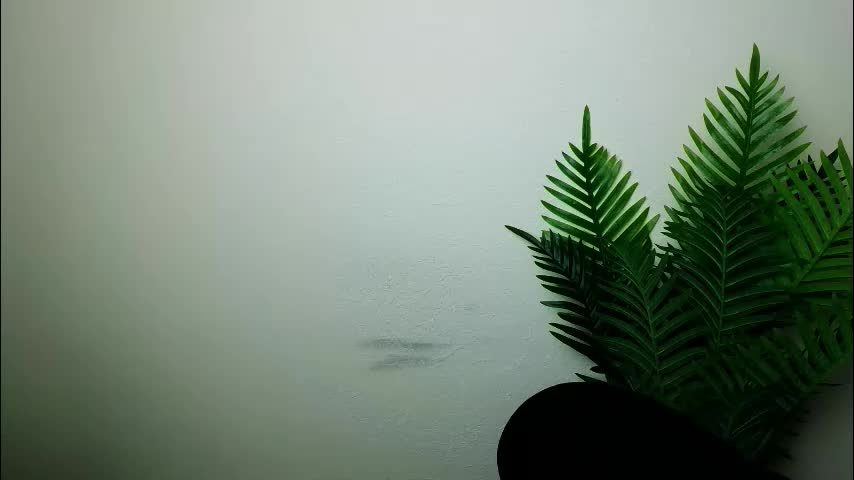 veryveryshygirl Live Sex December 13, 2025