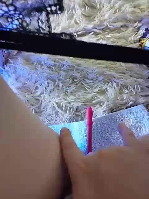 Piff_Pawlady Live Sex November 11, 2025