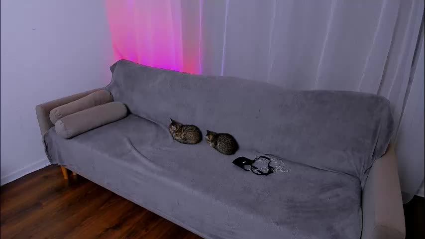 ladytrep Live Sex December 13, 2025